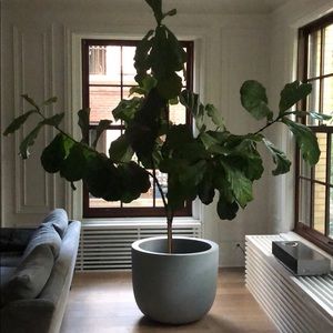 Meet your Posher, Joanne